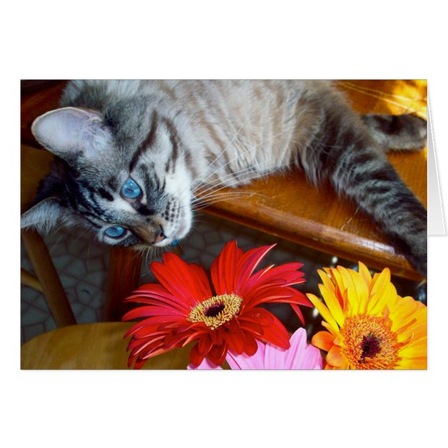 Cartão Felicidade da flor de Louie (Frente Horizontal)