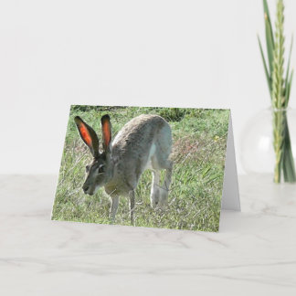 Cartão Felicidade é uma jornada