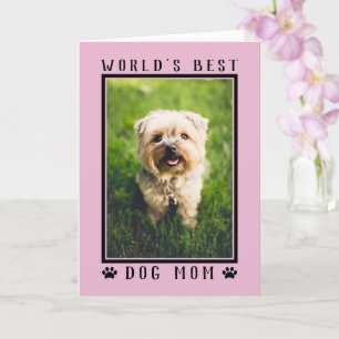 Cartão Felicidades à Melhor Mãe de Cachorro do Mundo Foto