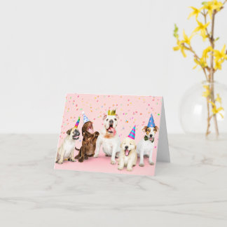 Cartão Felicidades ao Animal de Festa de Aniversário