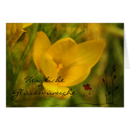 Cartão Felicidades cordiais