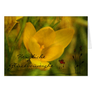 Cartão Felicidades cordiais