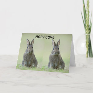 CARTÃO **FELICITAÇÃO AO FORMANDO DA FACULDADE**