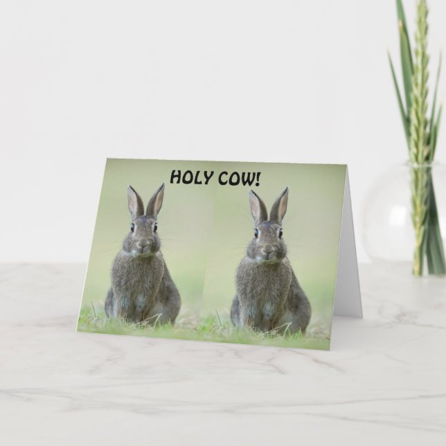 CARTÃO **FELICITAÇÃO AO FORMANDO DA FACULDADE** (Frente)