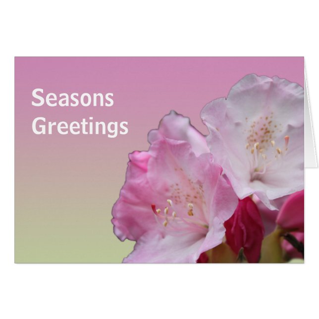 Cartão felicitações às épocas de flores rosas (Frente Horizontal)