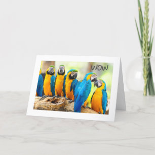 CARTÃO FELIZ **16º** ANIVERSÁRIO