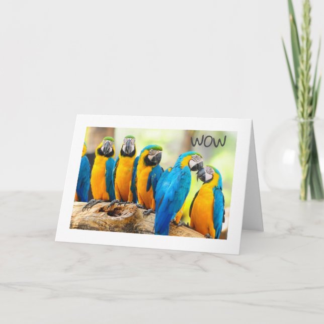 CARTÃO FELIZ **16º** ANIVERSÁRIO (Frente)