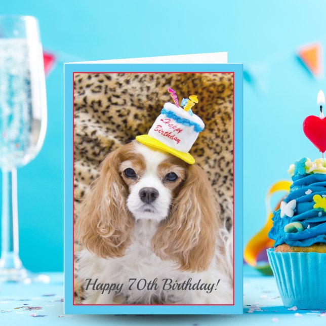 Cartão Feliz 70 Birthday Cavalier King Charles Birthday (Criador carregado)