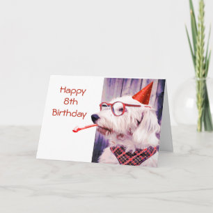 Cartão Feliz 8.º aniversário da Diversão do Cachorro Pet 