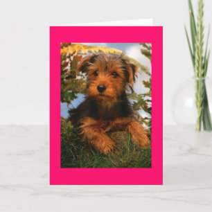 Cartão Feliz Airedale Terrier Puppy Dog Card