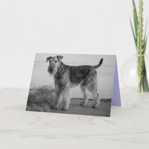 Cartão Feliz Airedale Terrier Puppy Dog Card