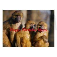 Feliz Amo De Aniversário Do Seu Macaco