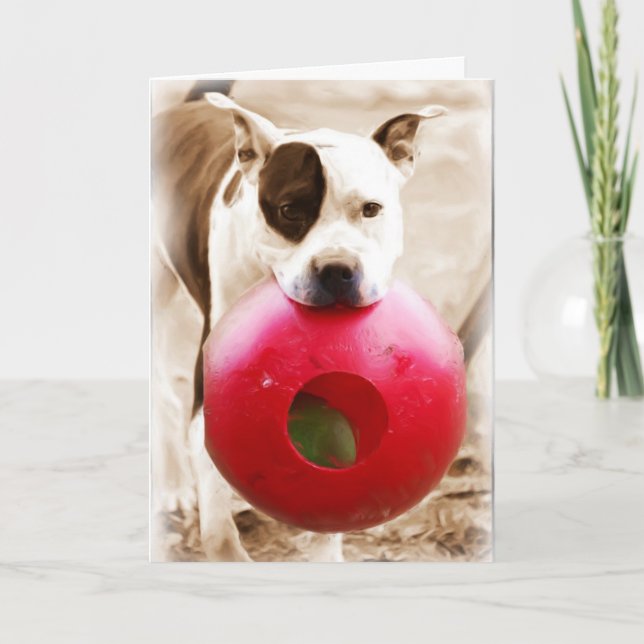 Cartão Feliz aniversario (Frente)