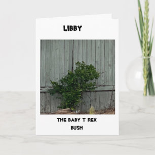 Cartão Feliz aniversário 🎊 🎁 🎈 