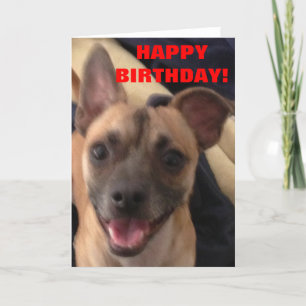 CARTÃO FELIZ ANIVERSÁRIO!