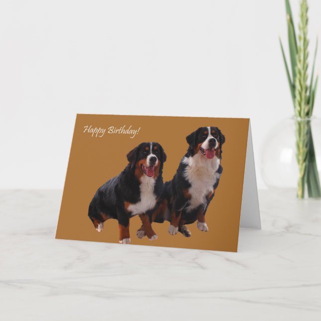 Cartão Feliz aniversario (Frente)