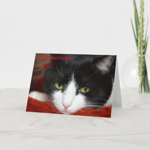 CARTÃO FELIZ ANIVERSÁRIO