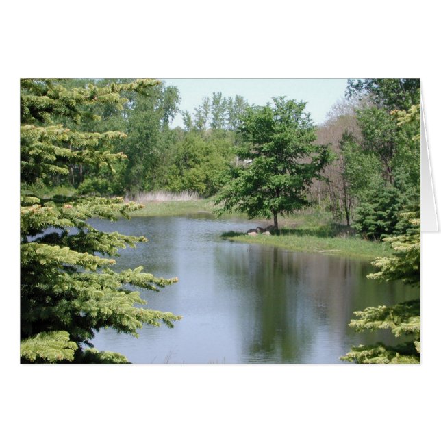 Cartão Feliz aniversario (Frente Horizontal)