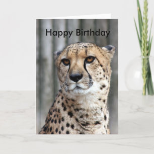 Cartão Feliz aniversário