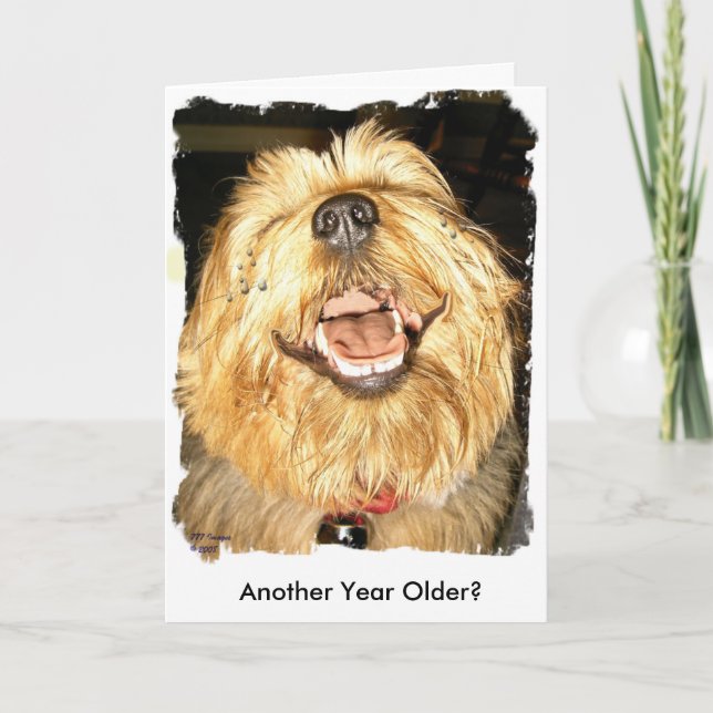 Cartão Feliz aniversario (Frente)