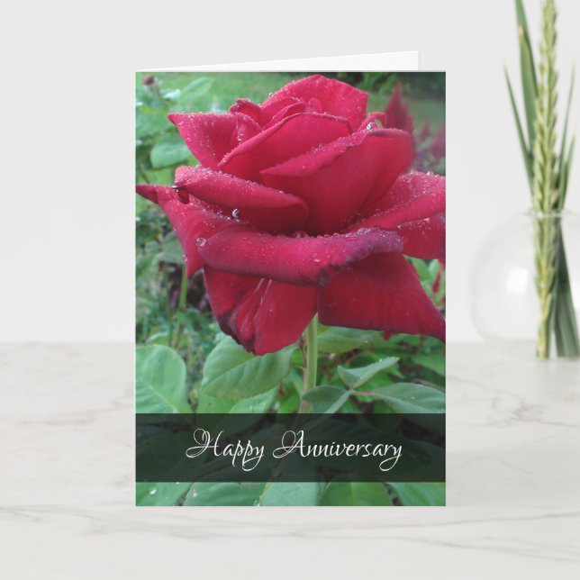 Cartão Feliz Aniversário Ama Rosa vermelha Raindrots Card (Frente)