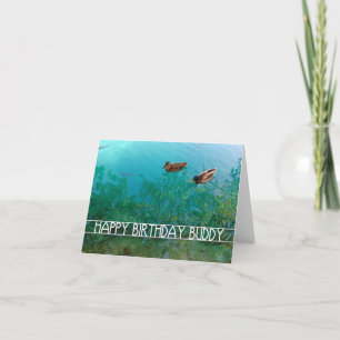 Cartão feliz aniversário amigo (dois patos)
