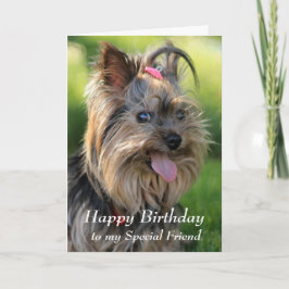 Cartão Feliz aniversário, amigo especial, diversão Yorkie
