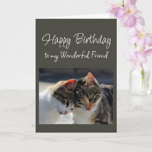 Cartão Feliz Aniversário Amigo Maravilhoso Gato Fofinho G