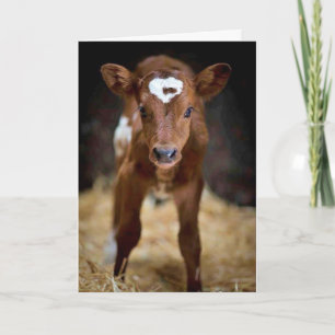 Cartão "FELIZ ANIVERSÁRIO" AO meu **IRMÃO**