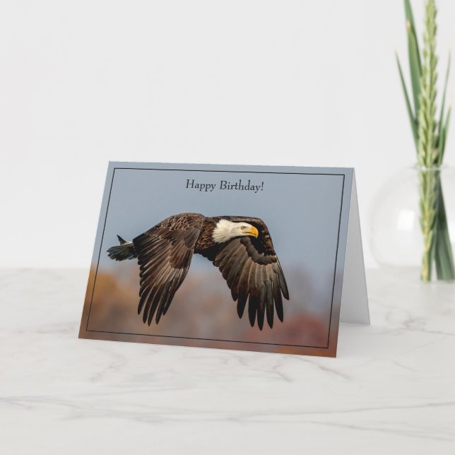 Cartão Feliz Aniversário - Bald Eagle (Frente)