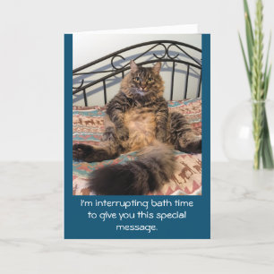 Cartão Feliz Aniversário Bath Time Kimber Cat