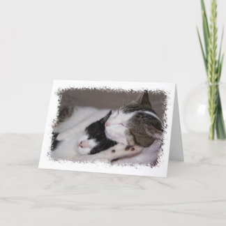 Cartão Feliz Aniversário, Bebê