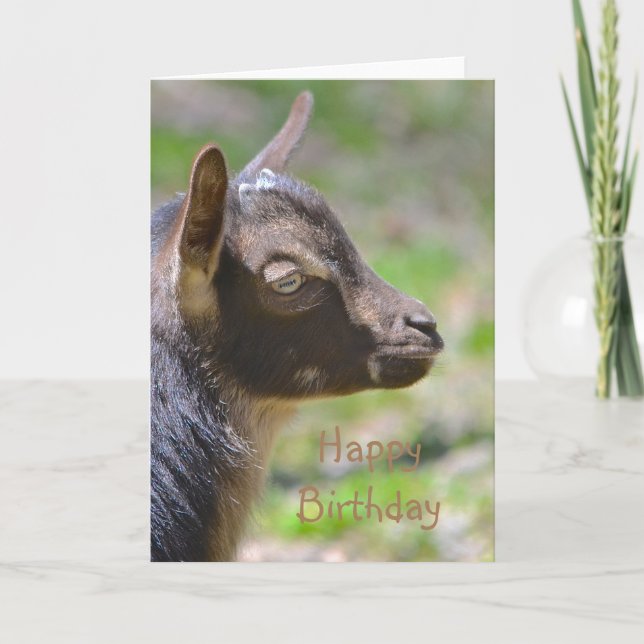 Cartão Feliz Aniversário Bebê Goat (Frente)