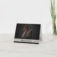 Feliz aniversário Belo Cisne Negro