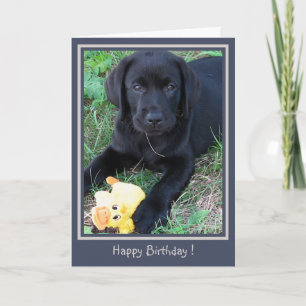 Cartão Feliz aniversário Black Lab Cute Puppy Puppy Dog