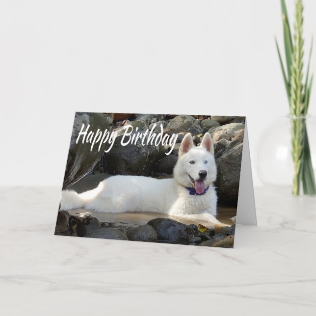 Cartão Feliz Aniversário Branco Siberiano Cachorro Feliz (Frente)