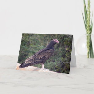Cartão Feliz aniversário - Buzzard