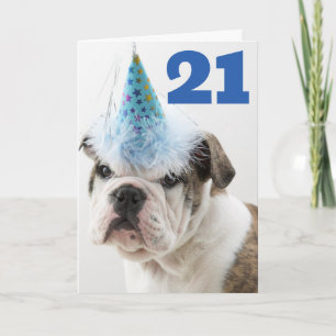 Cartão Feliz Aniversário Cachorrinho Bulldog Britânico