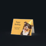 Cartão Feliz aniversário, Cachorro giro ficando mais velh<br><div class="desc">Cachorro Feliz em um Chapéu de Aniversário. Agora que você está ficando mais velho você pode começar a perder as bolas de gude que já jogou.  Cartão humorístico perfeito para qualquer um com senso de humor sobre envelhecer,  sobre a colina ou se tornar um velho temporizador.</div>