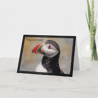 Feliz Aniversário Carteira Atlântica Puffin
