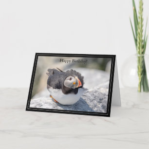 Cartão Feliz Aniversário Carteira Atlântica Puffin
