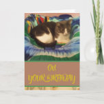 Cartão Feliz aniversário Cinzas domésticas e gatinho bran<br><div class="desc">Cartão de aniversário feliz personalizado com cinza e gato branco. Você pode mudar facilmente a ortografia do texto; cor da fonte,  estilo e tamanho com o botão Zazzle Edit Design.</div>