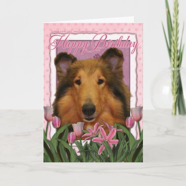 Cartão Feliz aniversario - Collie - Natalie (Frente)