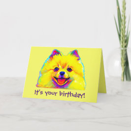 Cartão Feliz aniversario colorido Pomeranian