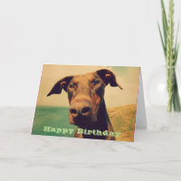 Feliz aniversario com um Doberman bonito