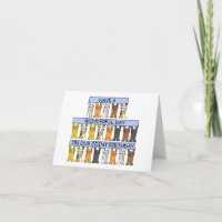 Feliz aniversário compartilhado no mesmo dia