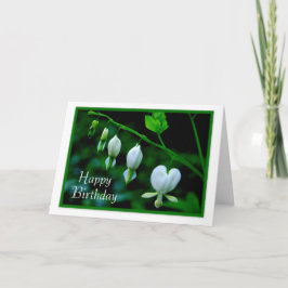 Cartão Feliz Aniversário, Corações Brancos