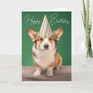 Cartão Feliz Aniversário   Corgi de Aniversário Cachorro