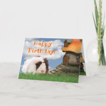 Feliz Aniversário da Criança Guiné Porco Cogão