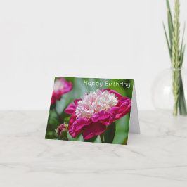 Cartão Feliz Aniversário da Flor de Peony Flor de Algodão